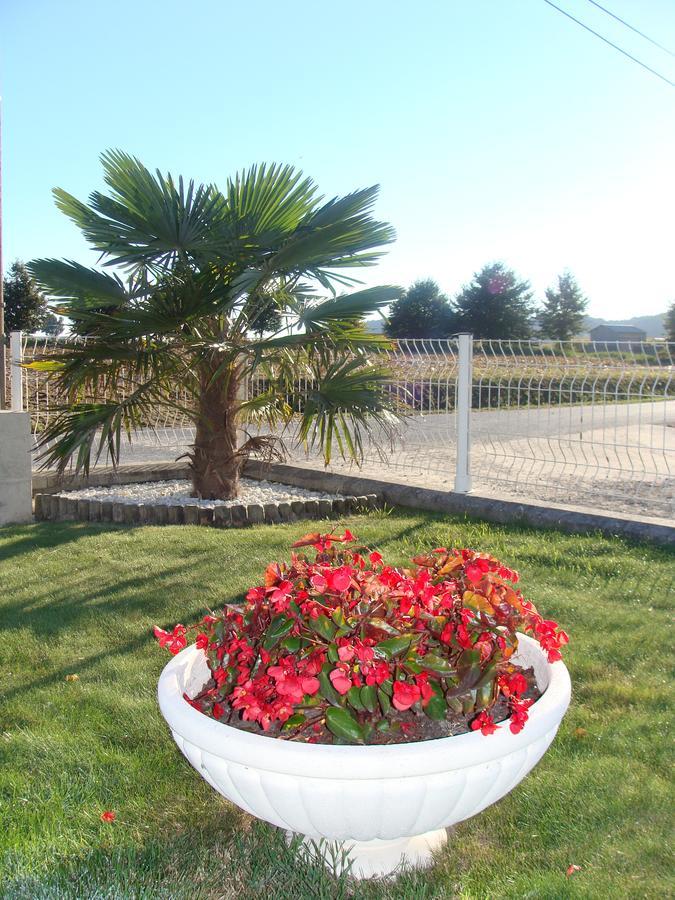 Chambres D'Hotes Le Petit Angle Saint-Broladre Dış mekan fotoğraf
